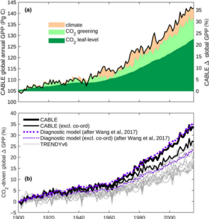 145 &Ocirc; 140 135 GP 130 I annual 125 120 CABLE global 115 110 - (a) climate CO, greening CO, leat-level 35 30 25 20 15 10 5 -driven global A GPP (%) 8 100 40 35 30 25 20 15 10 - (b) 5 - CABLE CABLE (excl. co-ord) **&bull;&bull;&bull; Diagnostic model (after Wang et al., 2017) ******Diagnostic model (excl. co-ord) (after Wang et al., 2017) TRENDYv6 1020| 1040 106n 1090l 2000