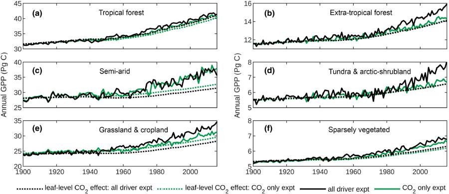 Annual GPP (Pg 45 40 35 30 40 35 30 25 35 30 25 20 1900 (a) Tropical forest 16 14- (b) Extra-tropical forest (c) Semi-arid Annual GPP (Pg C) (d) Tundra & arctic-shrubland 7 6 5 (e) Grassland & cropland (f) Sparsely vegetated 7 6 5 1900 1920 1940 1960 1980 2000 1920 ........... leaf-level CO, effect: all driver expt ........... leaf-level CO, effect: CO, only expt 1940 1960 - all driver expt 1980 2000 &bull; CO, only expt