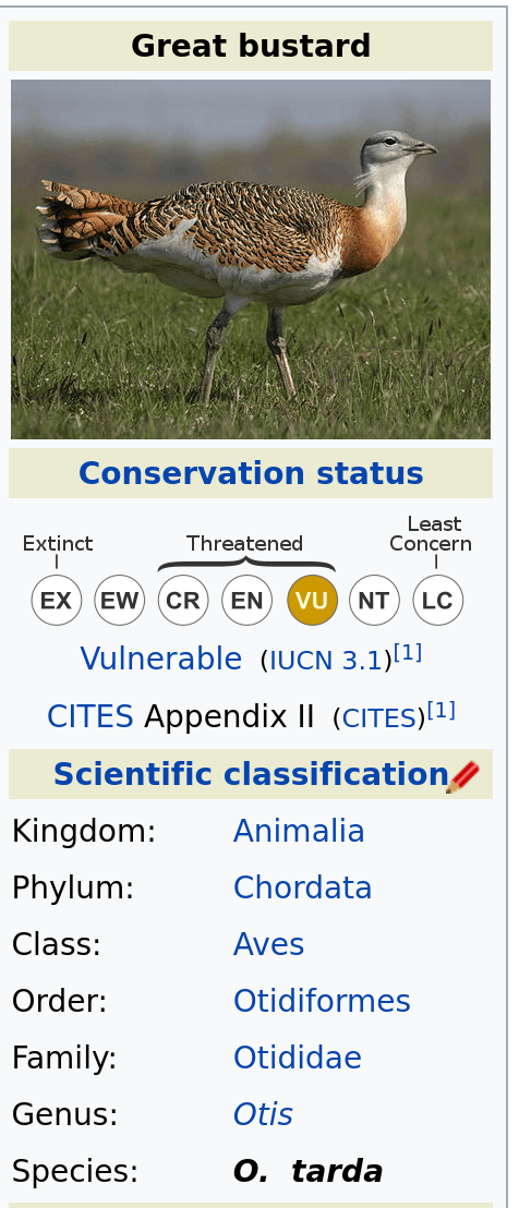 Great bustard Conservation status Extinct Threatened Least Concern EX EW CR EN VU NT .C Vulnerable (IUCN 3.1)[1] CITES Appendix II (CITES) 1] Scientific classification / Kingdom: Animalia Phylum: Chordata Class: Aves Order: Otidiformes Family: Otididae Genus: Otis Species: o. tarda