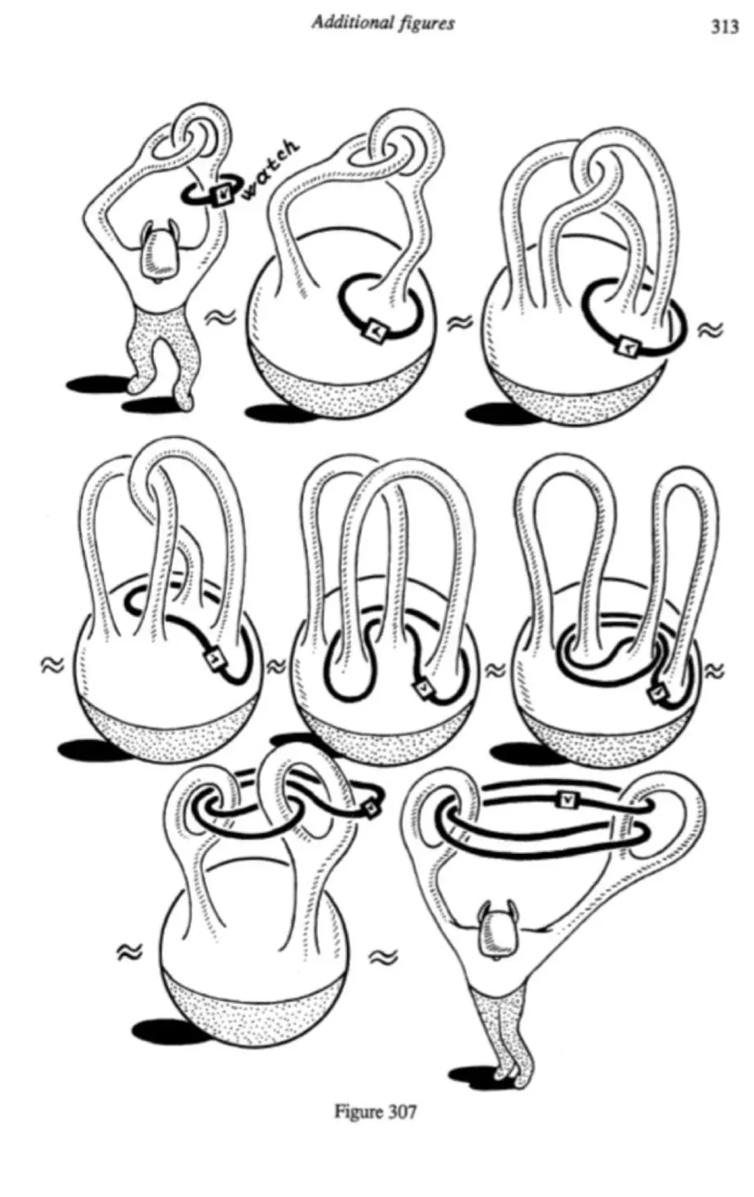 Additional figures 313 watch Figure 307
