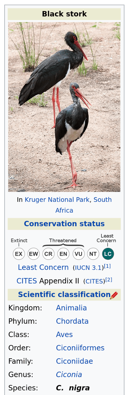 Black stork In Kruger National Park, South Africa Conservation status Extinct Threatened Least Concern EX EW CR (EN VU) (NT) (LC Least Concern (IUCN 3.1)[1] CITES Appendix II (CITES) 2l Scientific classification / Kingdom: Animalia Phylum: Chordata Class: Aves Order: Ciconiiformes Family: Ciconiidae Genus: Ciconia Species: C. nigra