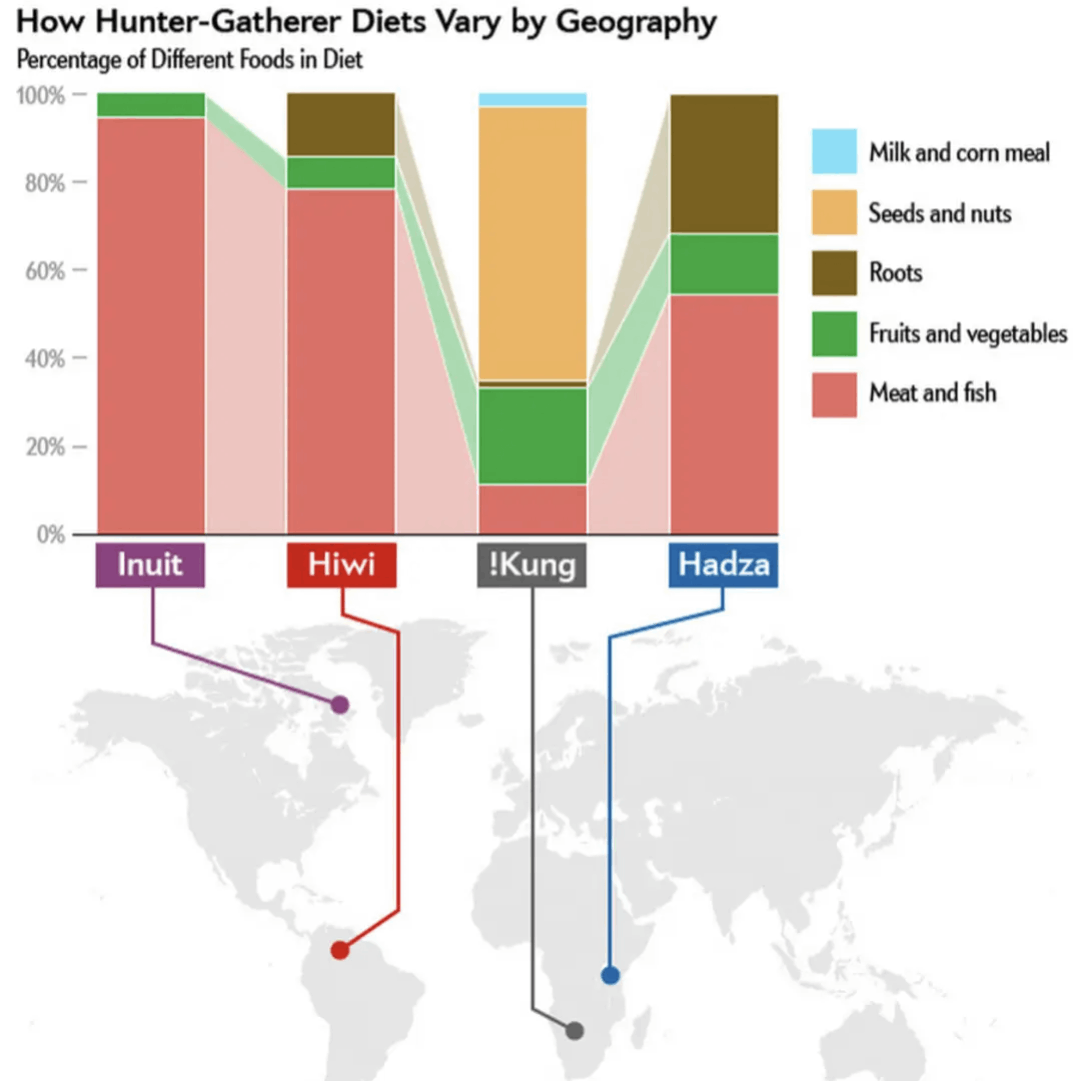How Hunter-Gatherer Diets Vary by Geography Percentage of Different Foods in Diet 100% &mdash; 80% &mdash; 60% &mdash; 40% &mdash; Milk and corn meal Seeds and nuts Roots Fruits and vegetables Meat and fish 20%- 0% Inuit Hiwi ! Kung Hadza