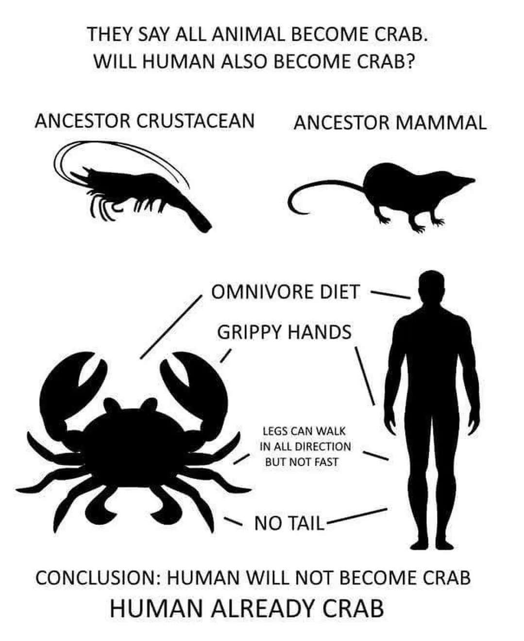 THEY SAY ALL ANIMAL BECOME CRAB. WILL HUMAN ALSO BECOME CRAB? ANCESTOR CRUSTACEAN ANCESTOR MAMMAL OMNIVORE DIET GRIPPY HANDS / LEGS CAN WALK IN ALL DIRECTION BUT NOT FAST NO TAIL- CONCLUSION: HUMAN WILL NOT BECOME CRAB HUMAN ALREADY CRAB