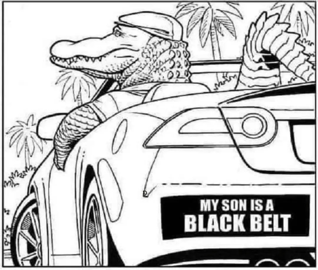 MY SON IS A BLACK BELT